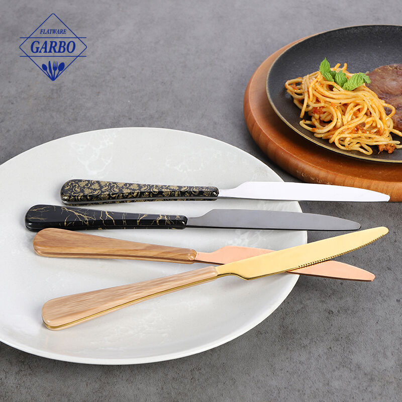 Customized ABS Plastic Handle Stainless Steel Dining Knife