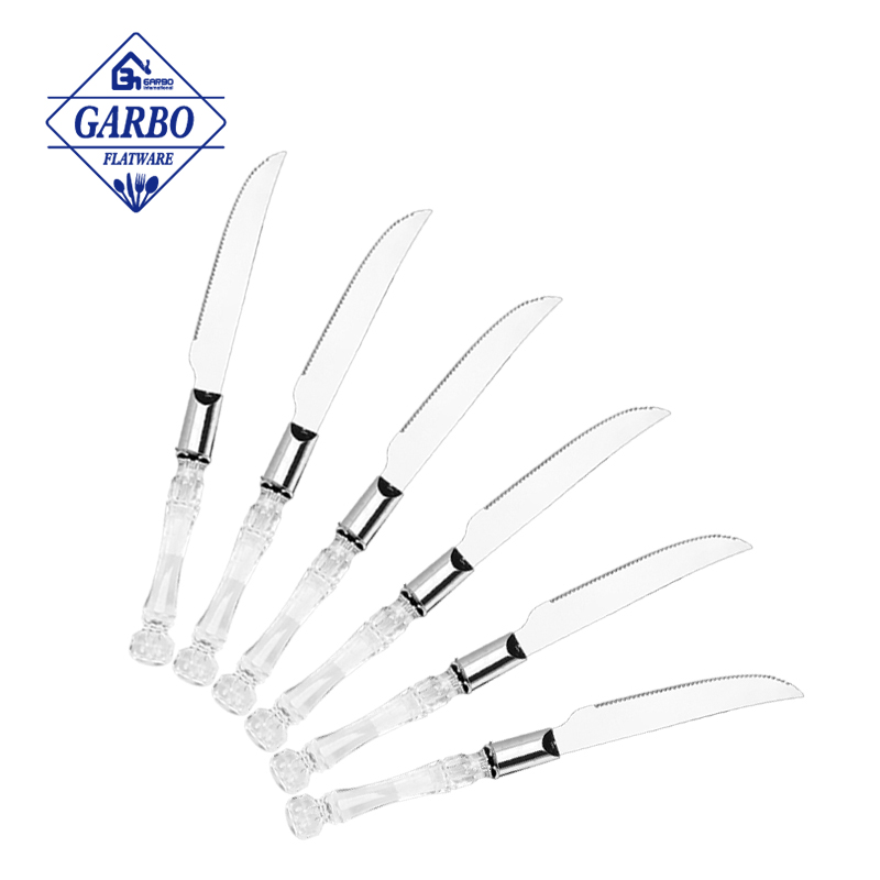 China Factory New Style Transparent Plastic Handle Stainless Steel Table Steak Knife