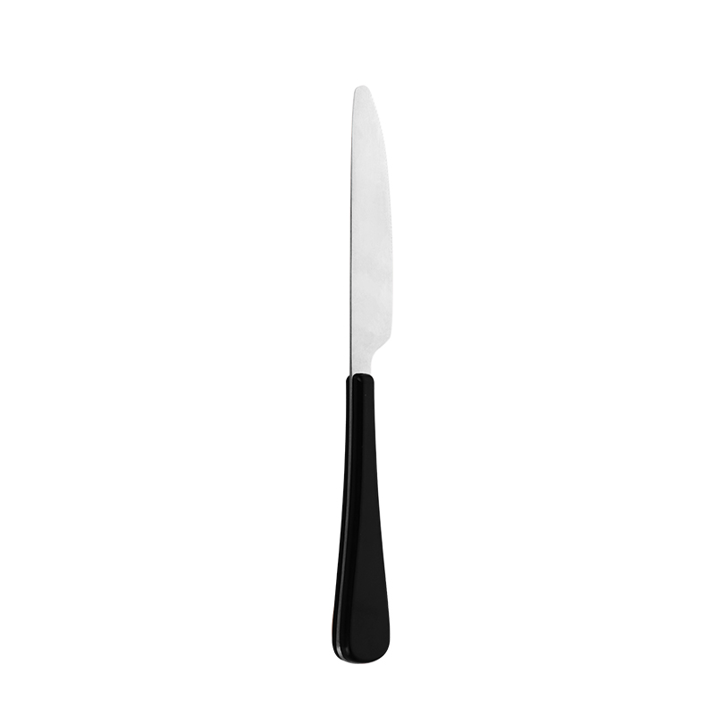 مصنع أدوات المائدة Garbo Silver Stainless Steel أطباق مع سكين مقبض بلاستيكي أسود