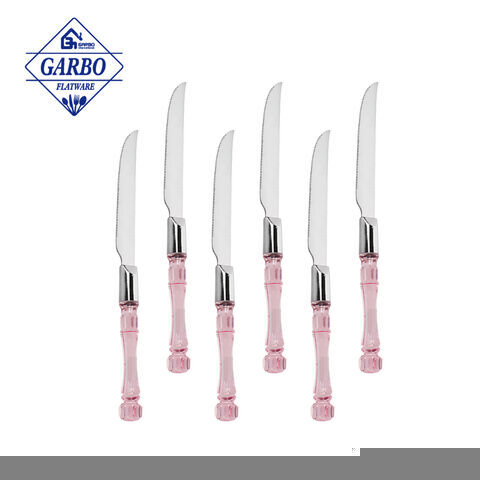 China Factory New Style Transparent Plastic Handle Stainless Steel Table Steak Knife