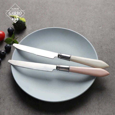 Wholesale cutlery stainless steel dinner knife with colored plastic handle