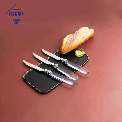 Elegant cheap price 410 stainless steel steak knife with transparent plastic handle