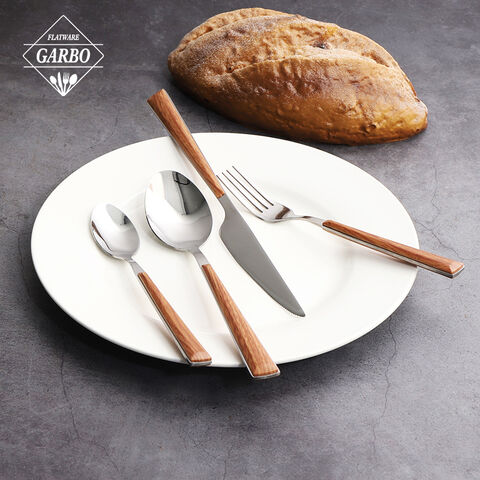 ABS plastic handle stainless steel cutlery set made by China factory