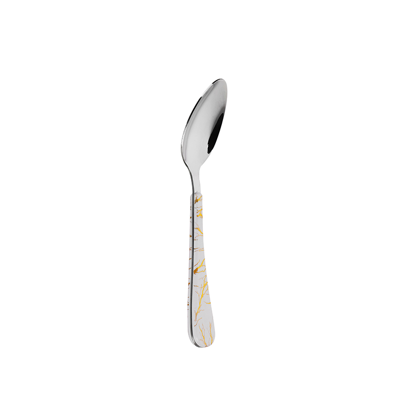 China Factory Gold Electroplated Stainless Steel Dinner Spoon with ABS Plastic Handle