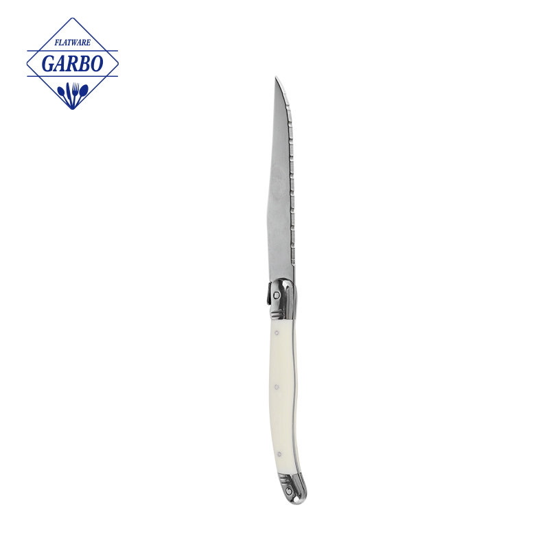 Elegante coltello da tavola in acciaio inossidabile color argento con manico in ceramica