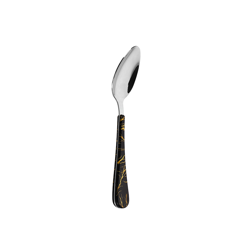 Silver Stainless Steel Dinner Spoon with ABS Printed Plastic Handle