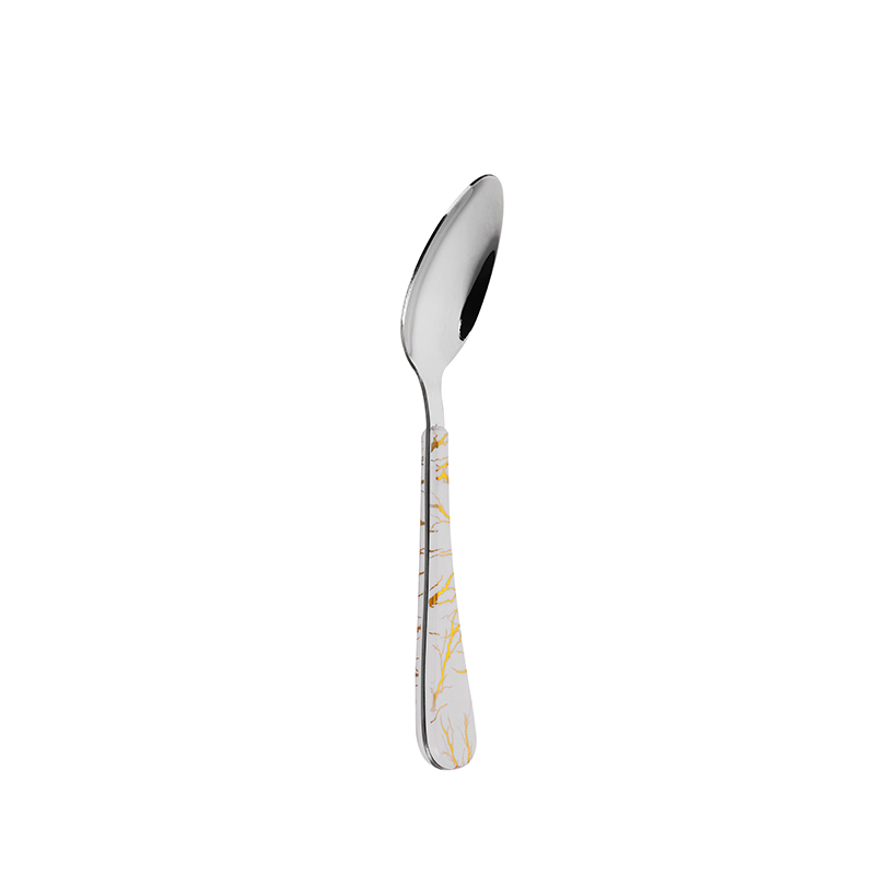 银色不锈钢餐勺，带 ABS 印花塑料手柄