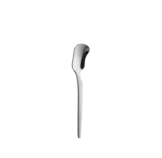 Kulay Pilak Stainless Steel Ice Cream Spoon