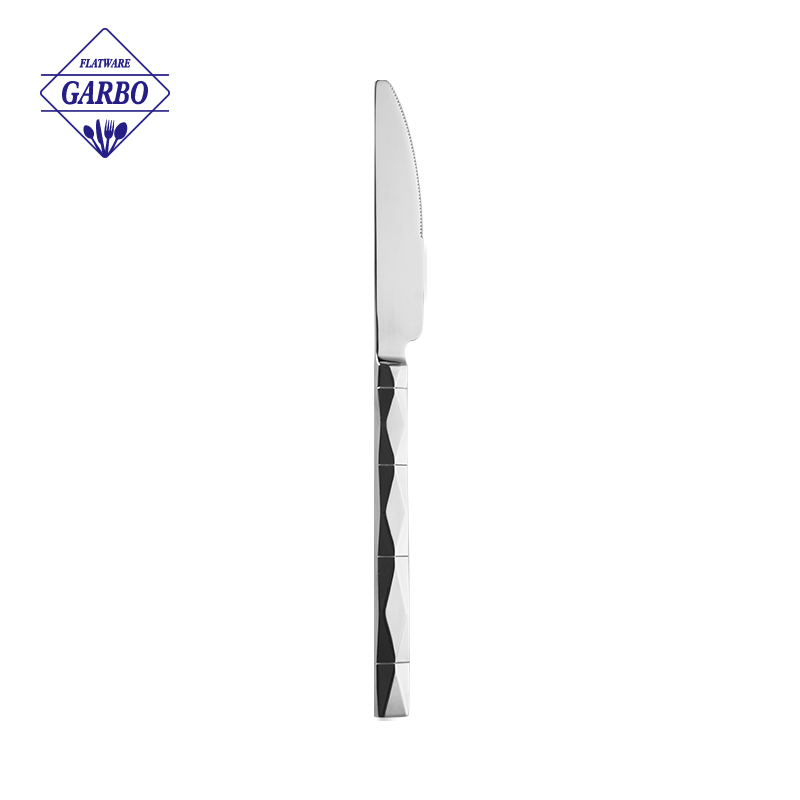 Stainless Steel Table Knife with Modern Handle Design
